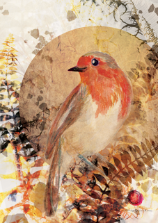Hélène HARMEGNIES, Illustratrice